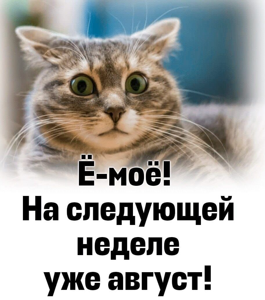 Е моё На следующей неделе уже август
