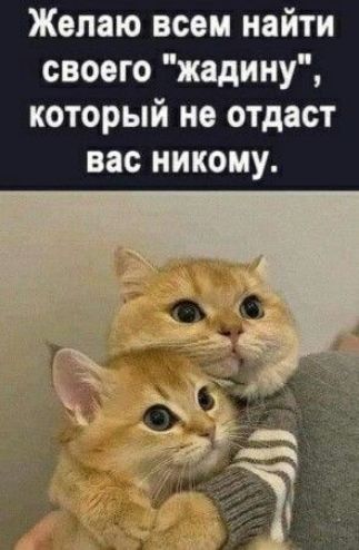 Желаю всем найти своего жадину который не отдаст вас никому
