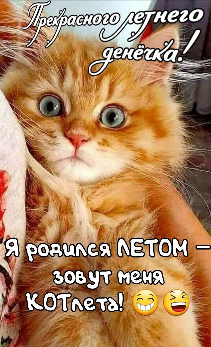 зовут ищя Г тайма Ё И И