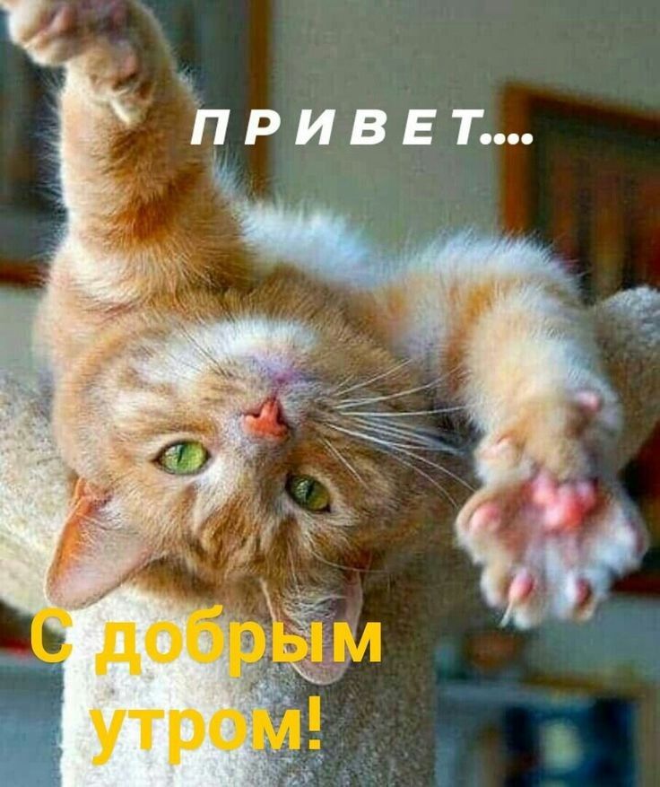 привъ