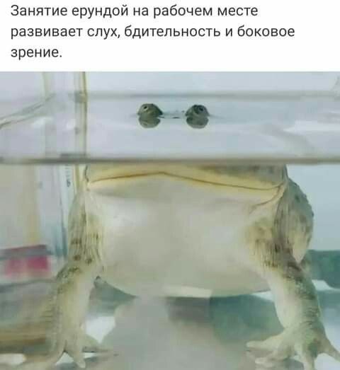 Занятие ерундой на рабочем месте развивает слух бдительность и боковое зрение