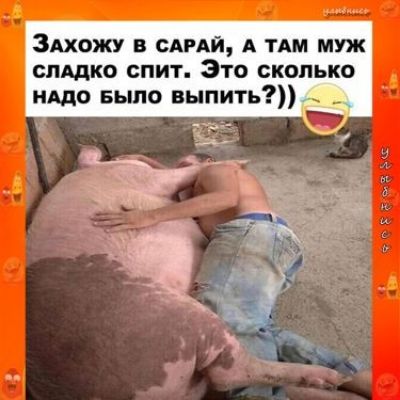 ЗАХОЖУ В САРАЙ А ТАМ МУЖ СПАДКО СПИТ Это СКОЛЬКО