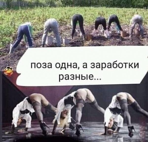 ПОЗЭ одна а заработки разные