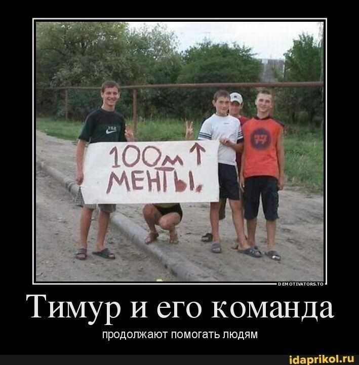 Тимур и его команда прпдппжают помогать людям терпит