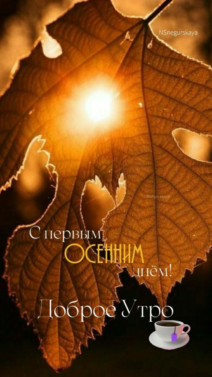 С порн дпёиёі оорое гро Й