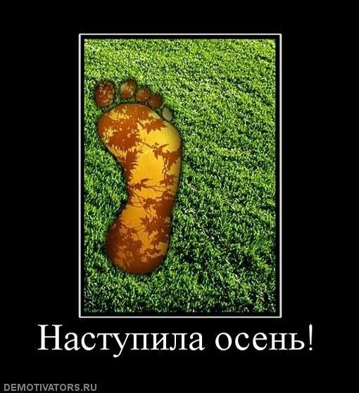 Наступила осень пашетнок пи