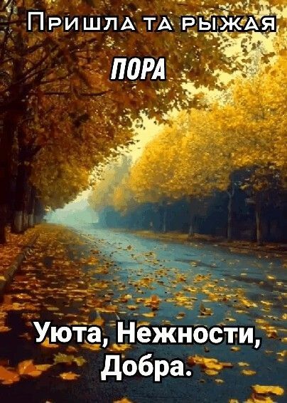 _ЁПРИШЛАТАЬ _ жд д