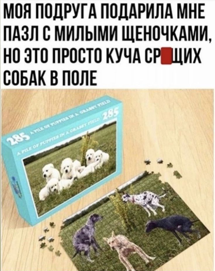 МОН ПОДРУГА ПОДАРИЛА МНЕ ПАЗЛ О МИЛЫМИ ЩЕНОЧКАМИ НО ЭТО ПРОСТО КУЧА БРЦИХ СОБАК В ПОЛЕ