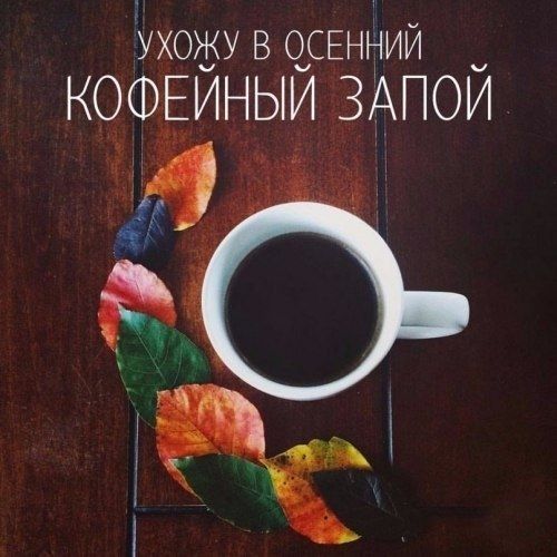 УХОЖУ В ОСЕННИЙ КОФЕЙНЫЙ ЗАПОЙ