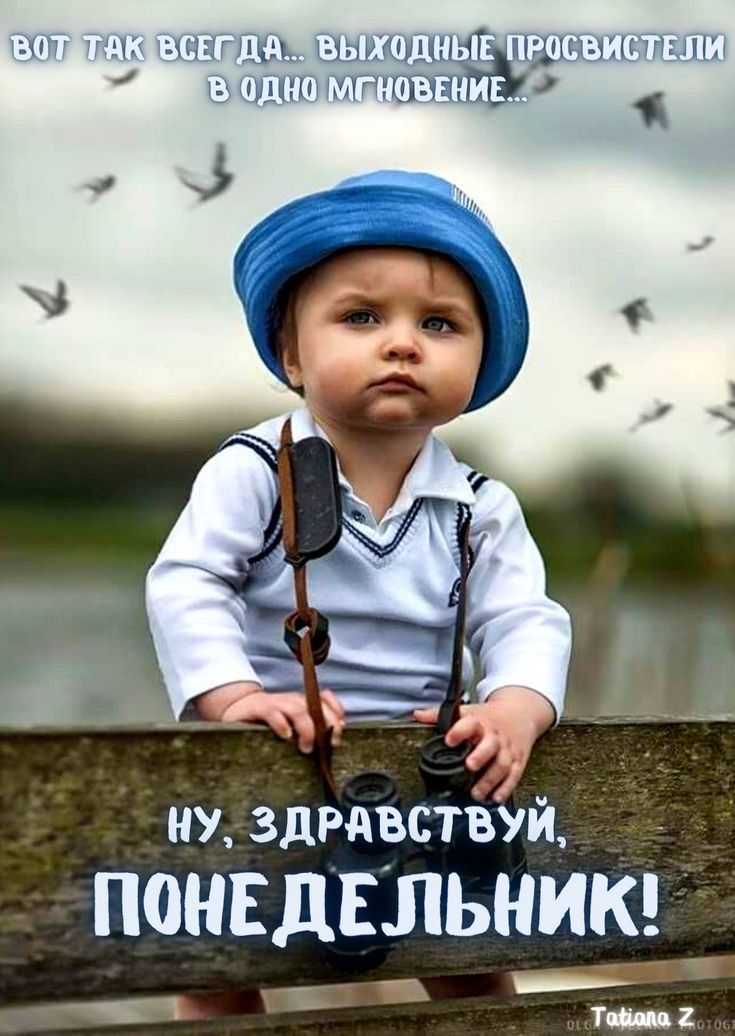 ыщТ мы д шт ну здрдрствуй ПОНЕДЕЛЬНИК тии