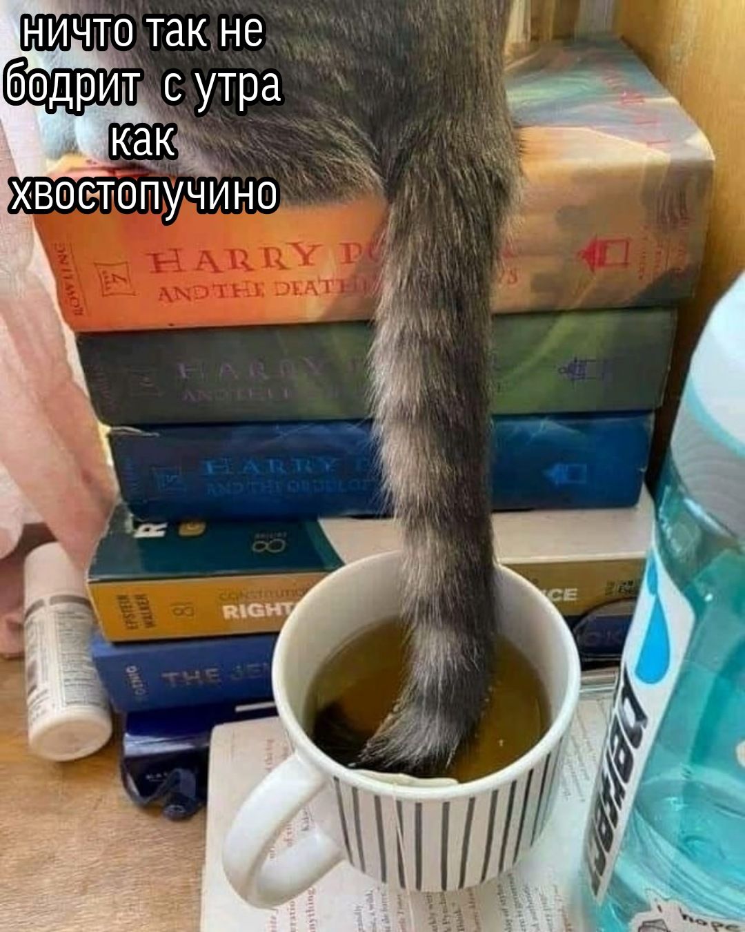 КИдТО так не