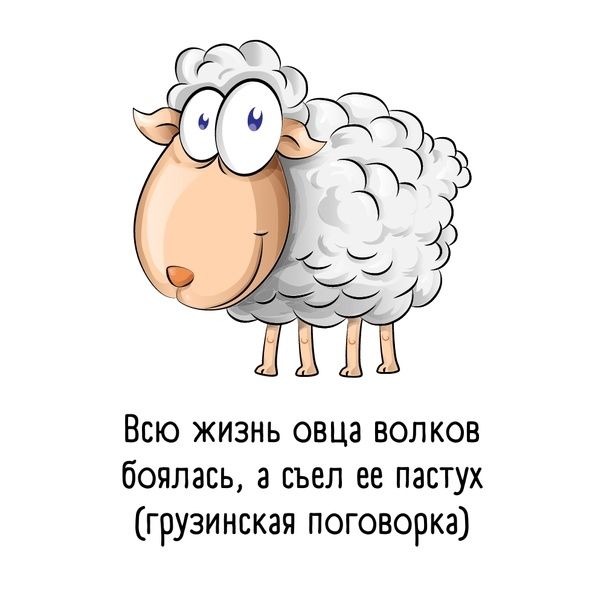 Всю жизнь овца волков боялась а съел ее пастух грузинская поговорка