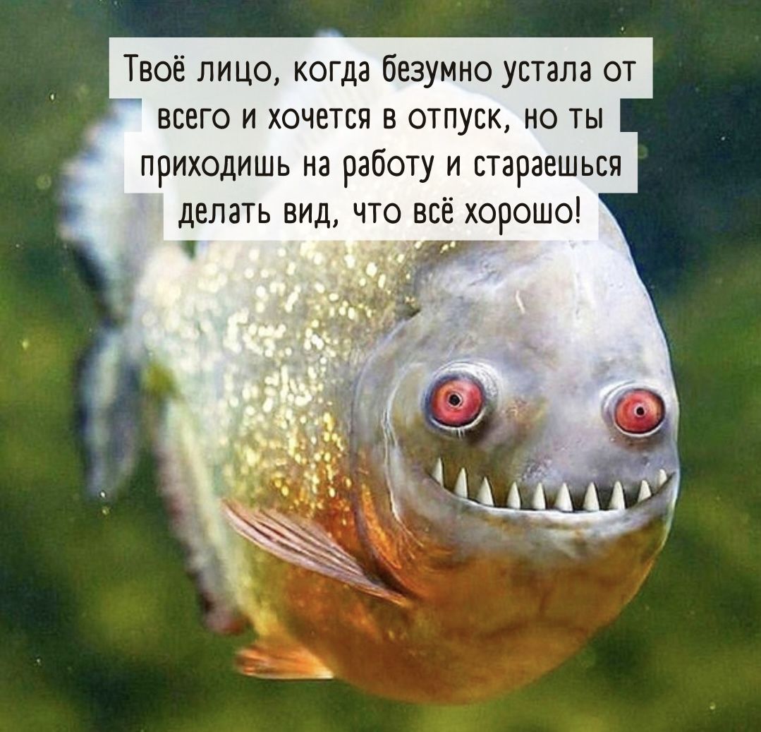 Твоё лицо когда безумно устала от всего и хочется в отпуск но ты приходишь на работу и стараешься делать вид что все хо ошо