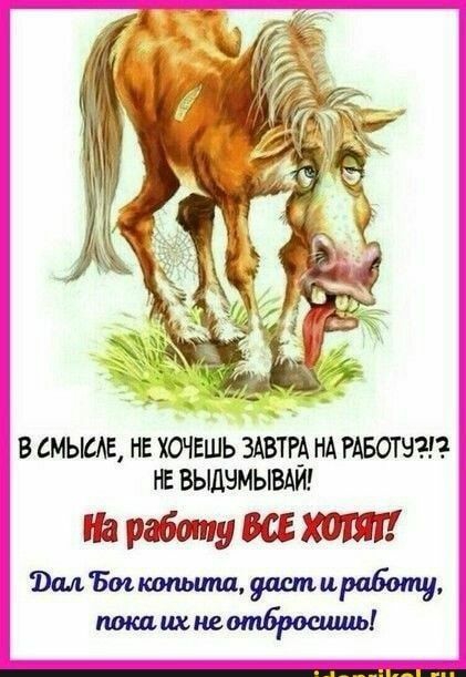 В СМЫБАЕ НЕ ХОЧЕШЬ 3АВТР_А НА РАБОТ НТЦ Е ВЬЩЧМЬВАИ На рабтпу