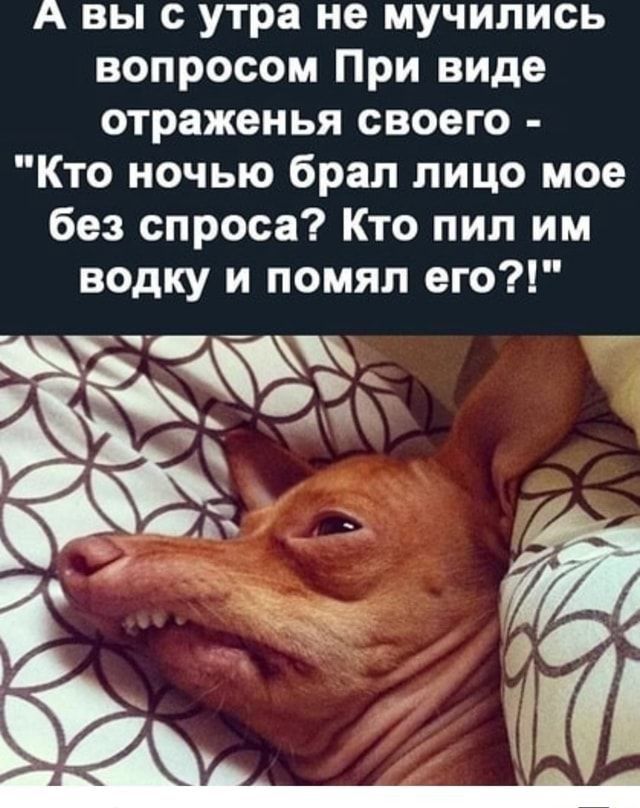 А вы с утра не мучились вопросом При виде отраженья своего Кто ночью брал лицо мое без спроса Кто пил им водку и помял его _