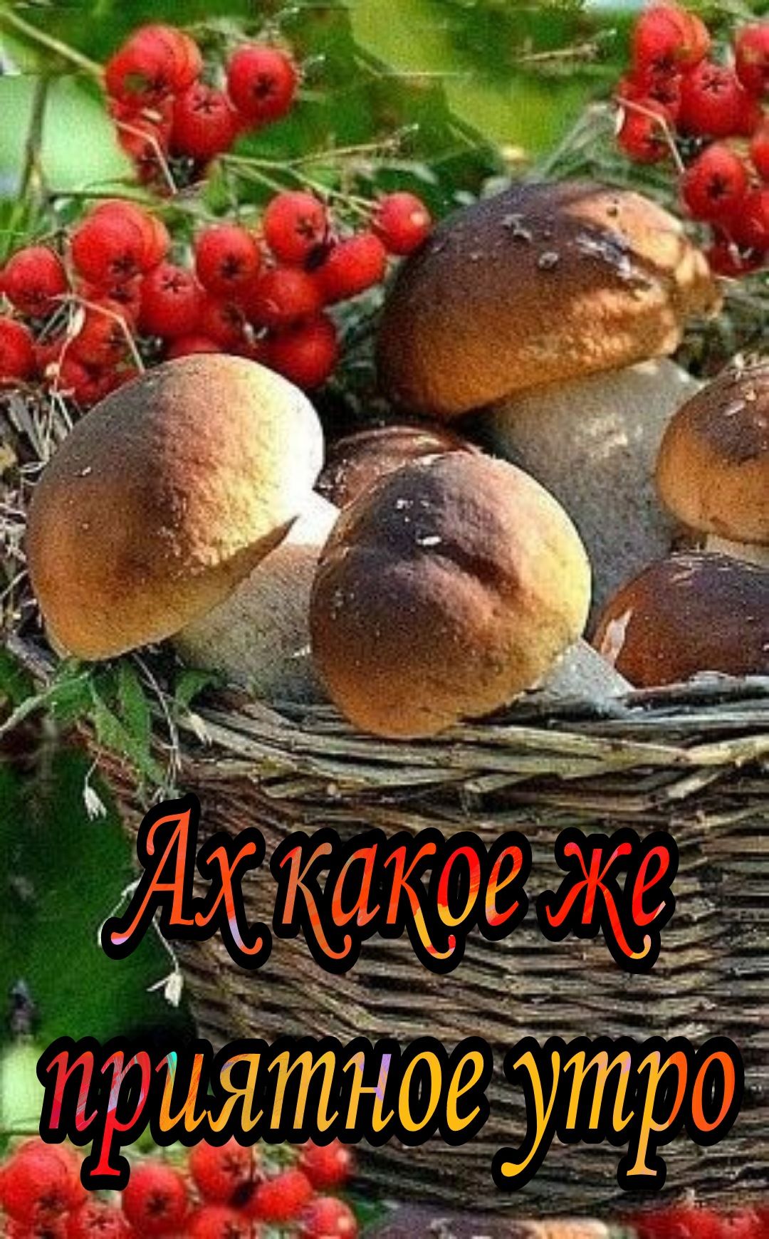 73 __4 ШШЁ 3