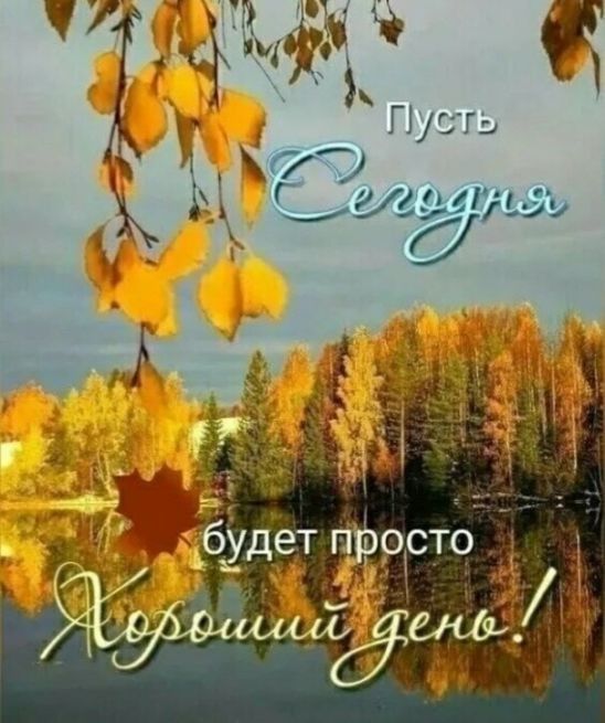 Т_Й ГЮ Чідддцу а