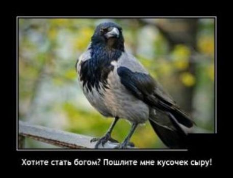 Хаим аш вогиг Пошт и сии
