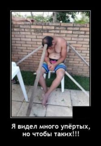 Я видел много упёртых но чтобы тихих