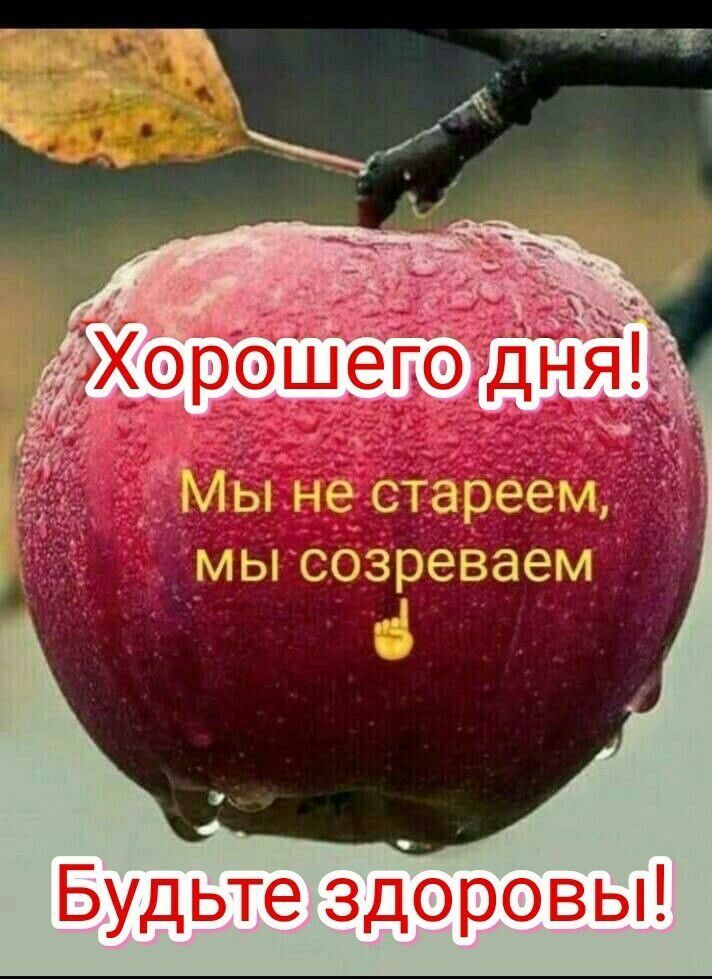 мы созреваем Будьте здоровы