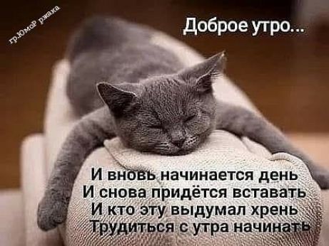 доброе утро И внбвь начинается день И снова придётся вставать И кто э выдумал хрен
