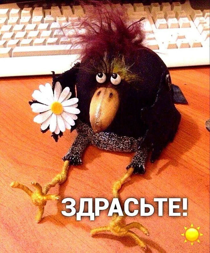 3 ЗДРАСЬТЕ