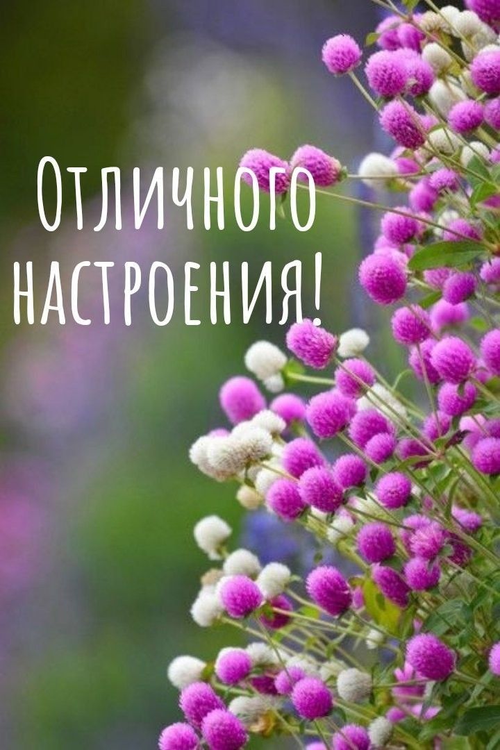 _ отли іі ндпгогниад _ ЁЁ _ ь