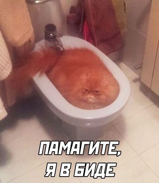 Швид