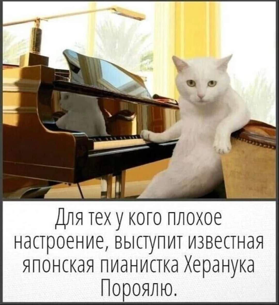 Для теху кого плохое настроение выпупит известная японская пианистка Херанука ПОооялю