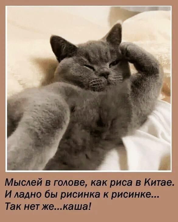 в голове как дно 6 ИСИНК