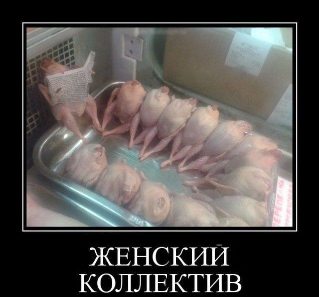 ЖЕНСКИЙ КОЛЛЕКТИВ