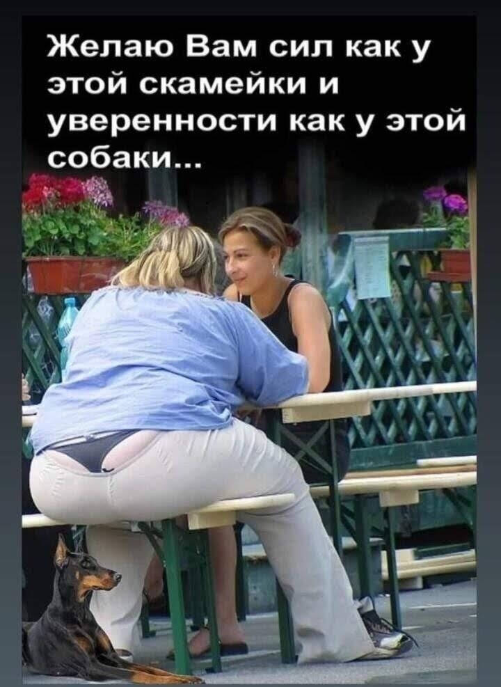 Желаю Вам сип как у этой скамейки и уверенности как у этой собаки _ е