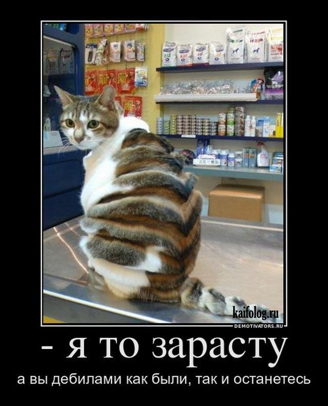 я то зарастЁ а вы дебилами как были так и останетесь