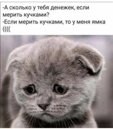 А сколько у тебя денежек если мерить кучками Если мерить кучками то у меня ямка я