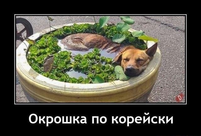 Окрошка по корейски