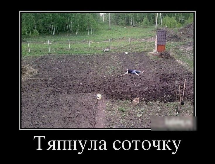 Тяпнула соточку