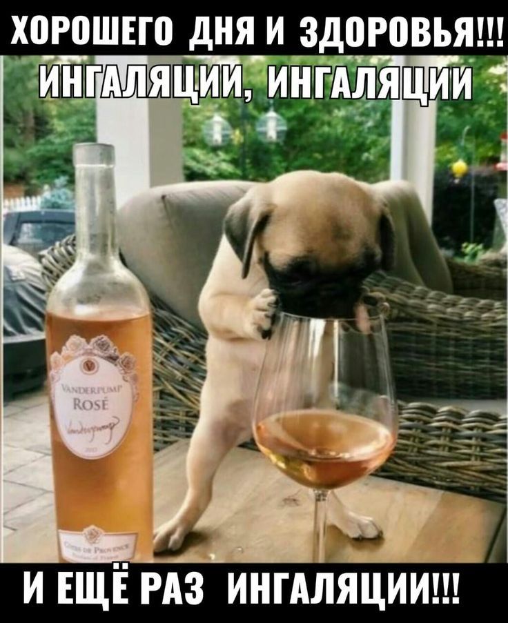 ХВРПШЕШ дНЯ И ЗДЩВВЪЯ и ЕЩЁ т нгдлйцийш