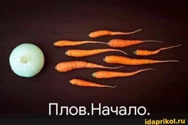 о _ ПловНачало шрам