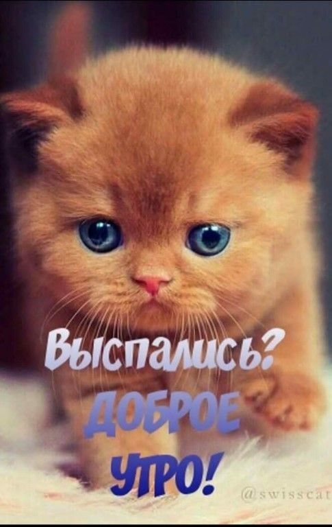 эч