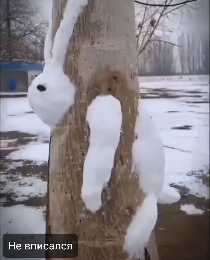 Не вписался