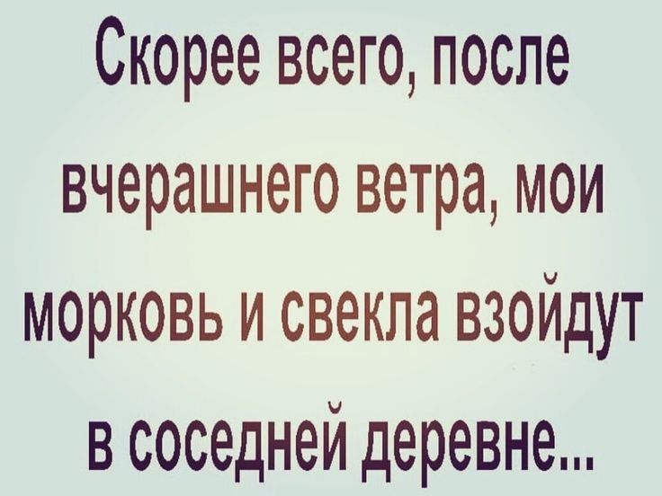 Скорее всего после вчерашнего ветра мои морковь и свекла взойдут в соседней деревне