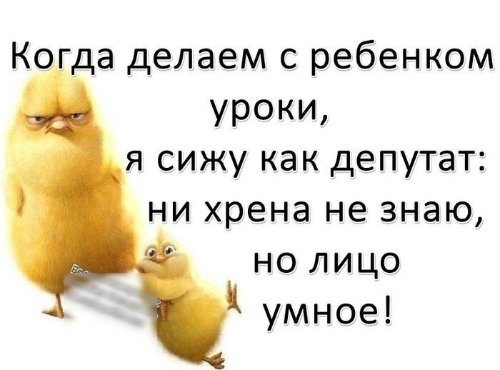 Когда делаем с ребенком уроки я сижу как депутат ни хрена не знаю но лицо умное