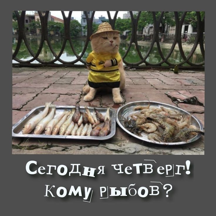 Сегодня ЧеТВ енг КОМЩР выбов