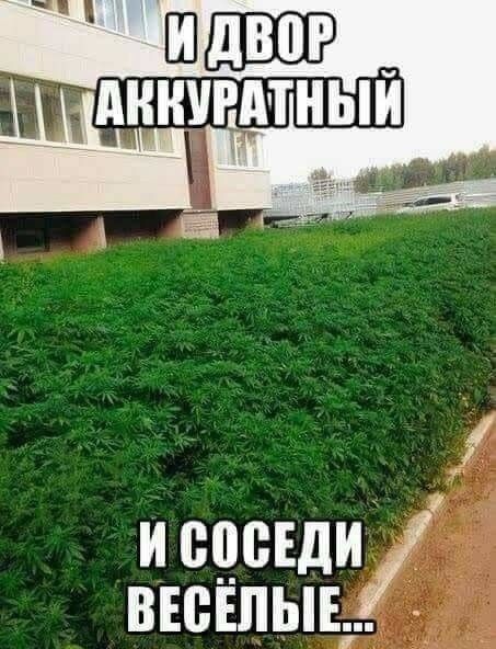 и сцсвди _ вюшьщ __ _