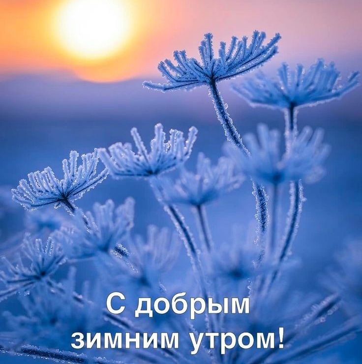 С добрым зимним утром