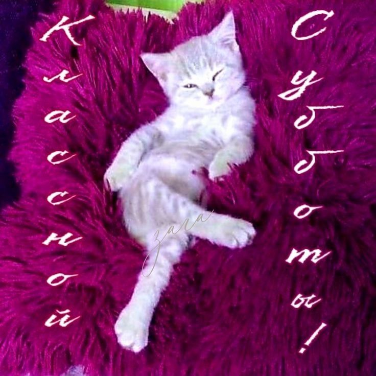 ауггатм КЁООЮЁИЩ