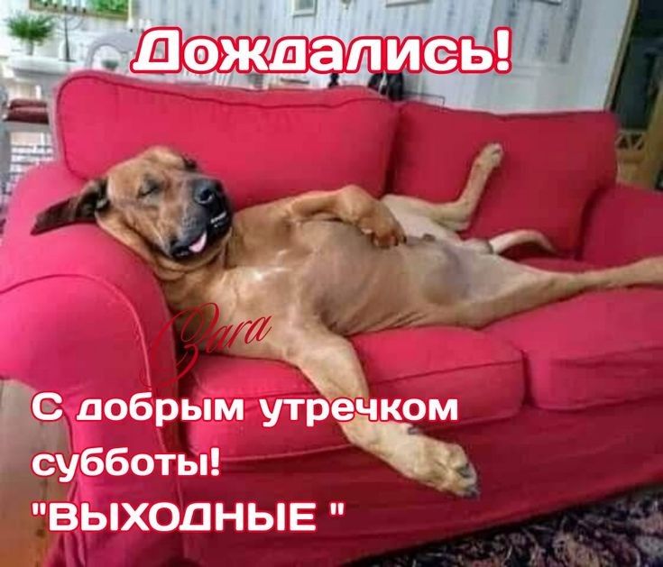 Сидобрым ут еЧком суібботы ВЫХОДНЫЕ