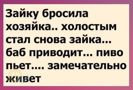Зайку бросила хозяйка холосгым стал снова зайка баб приводит пиво ПЬЕТ замечательно ЖИВЕТ