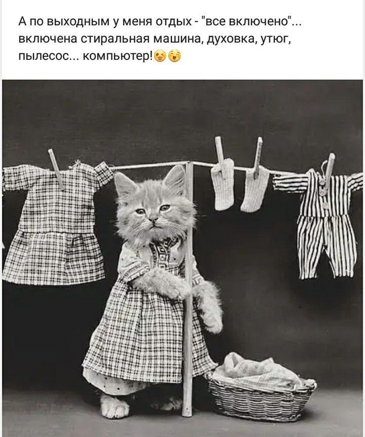 А пп выходным у меня птдых все включено включена стиральная машина духовка утюг пылесос компьютвртв