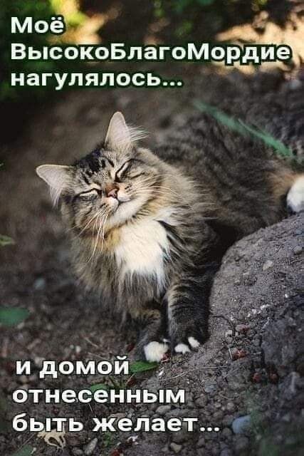 Юй АЧ ВьюокоБлагоМордие нагулялось отнесенным бьёь желает